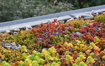 the cost of Abberley green roof installation
