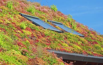 Abberley living roof systems